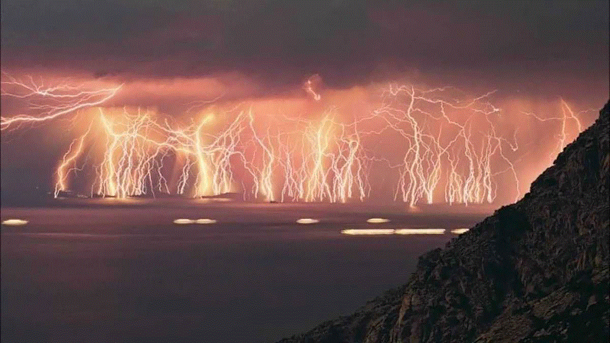 старатель