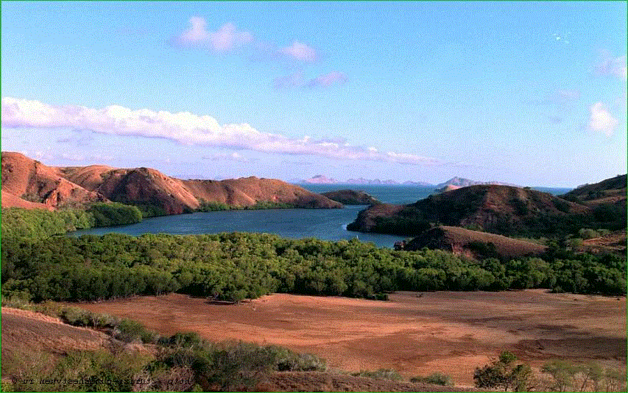 старатель