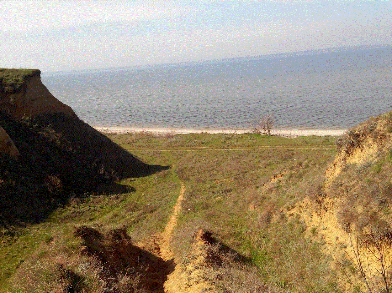 старатель